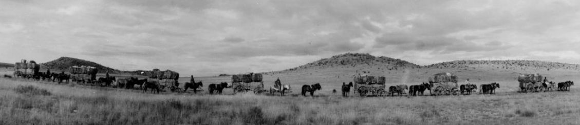 Cotton Wagons Crossing Brite Ranch