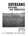 Bulletin: Soybeans
