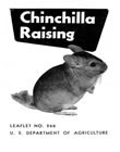 Bulletin: Chinchilla