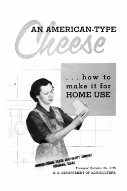 Cover of the pamphlet An American type Cheese