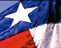 Portal flag logo