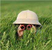 person using binoculars in the grass